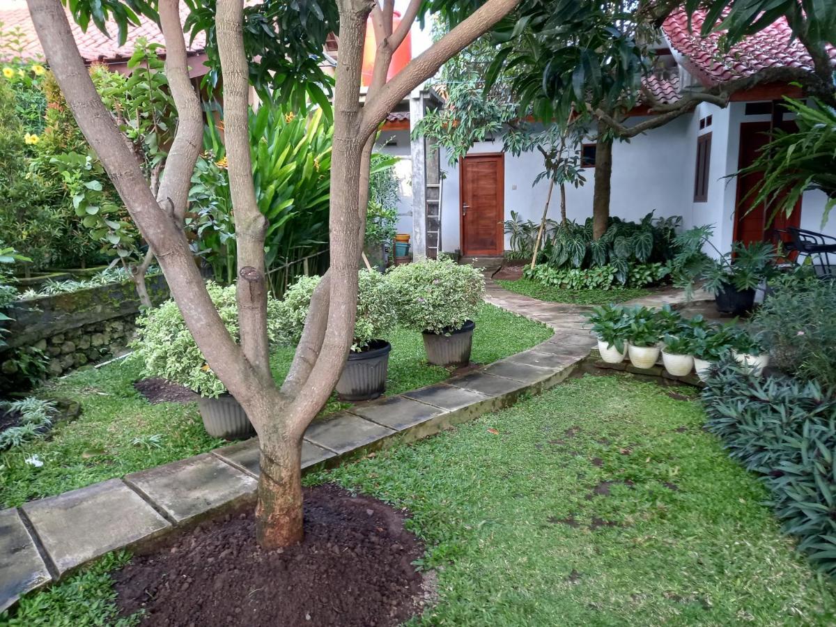 Juda Homestay Banyuwangi (East Java) Exterior foto