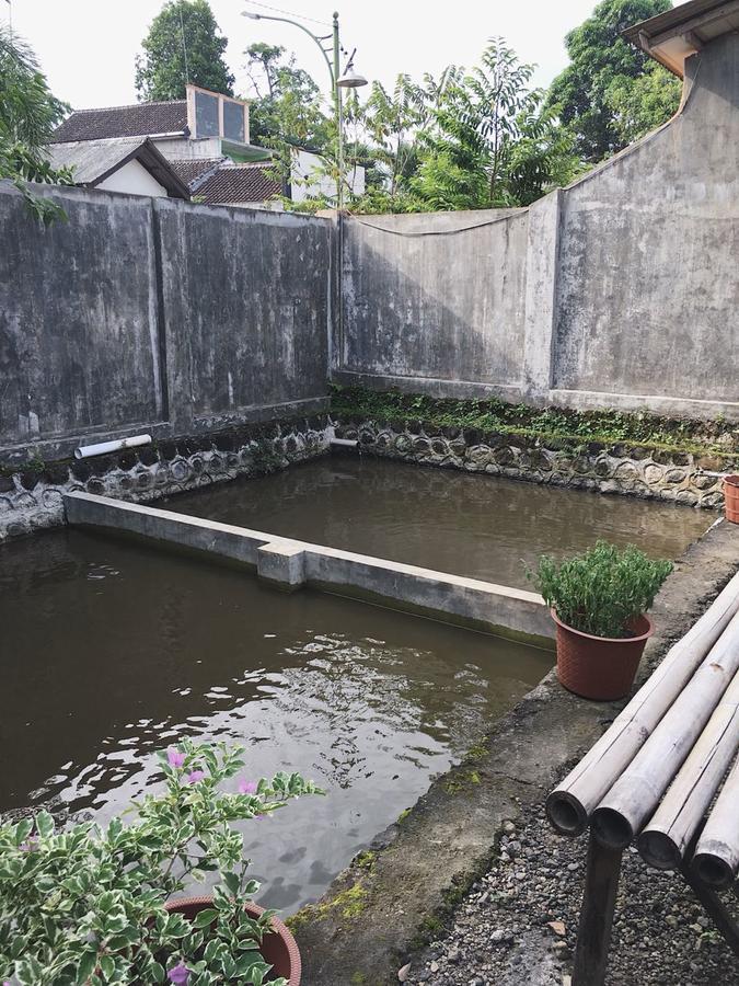 Juda Homestay Banyuwangi (East Java) Exterior foto